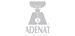 ADENAT REAL ESTATE LTD. logo